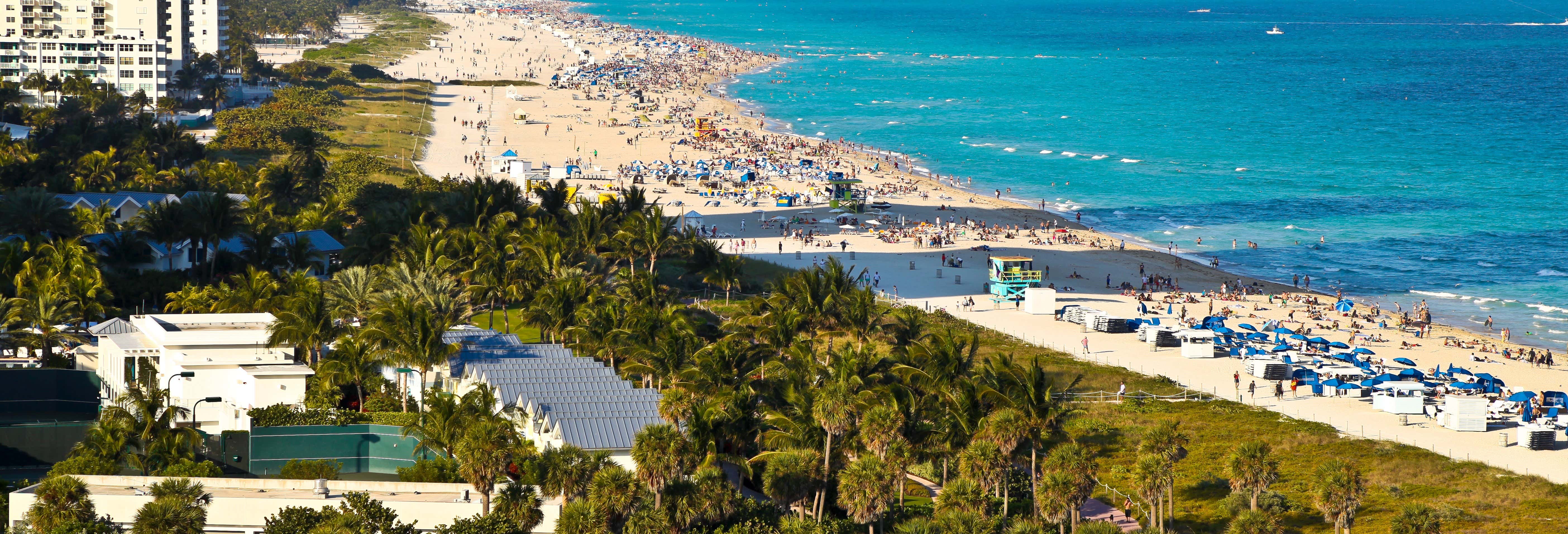 Tour de Miami + Everglades