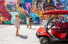 Visita guiada por Wynwood
