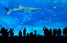 Entrada al Monterey Bay Aquarium
