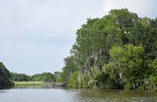 Paseo en barco por la Reserva de Barataria