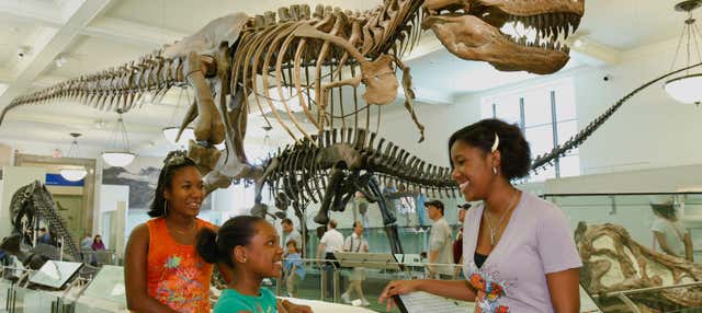 American Museum of Natural History Ticket