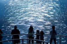 Biglietti per l'Ocean Odyssey