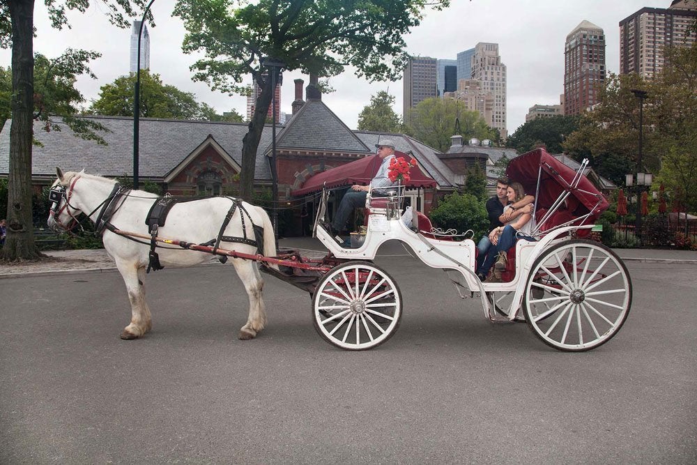 Horsedrawn carriage rides through Central Park, New York.