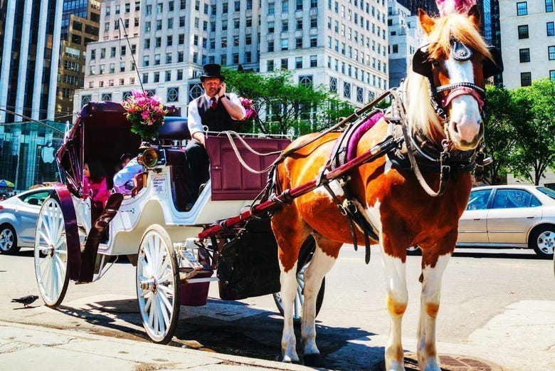 Carriage ride in Central Park 