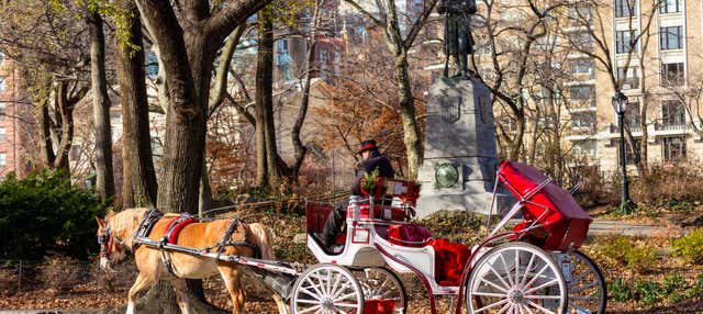 Promenade en calèche dans Central Park
