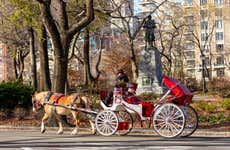 Central Park Carriage Rides