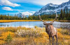 Tour de 7 días por lo mejor de Canadá