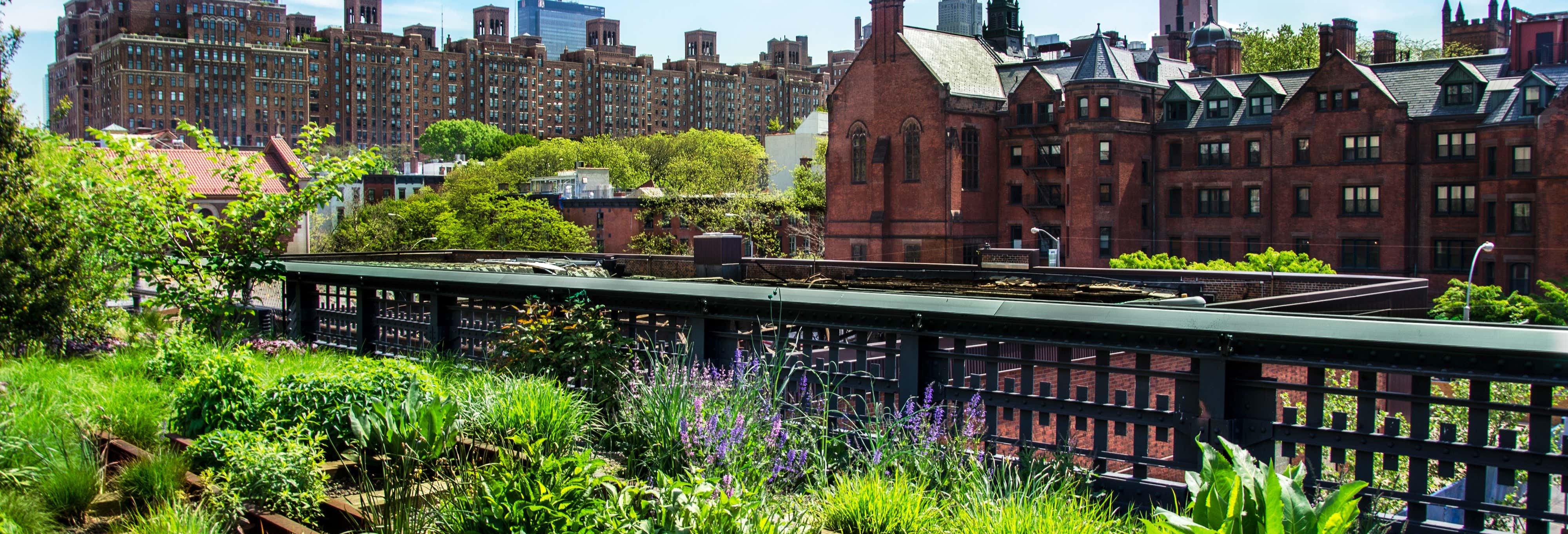 Tour di High Line e Hudson Yards