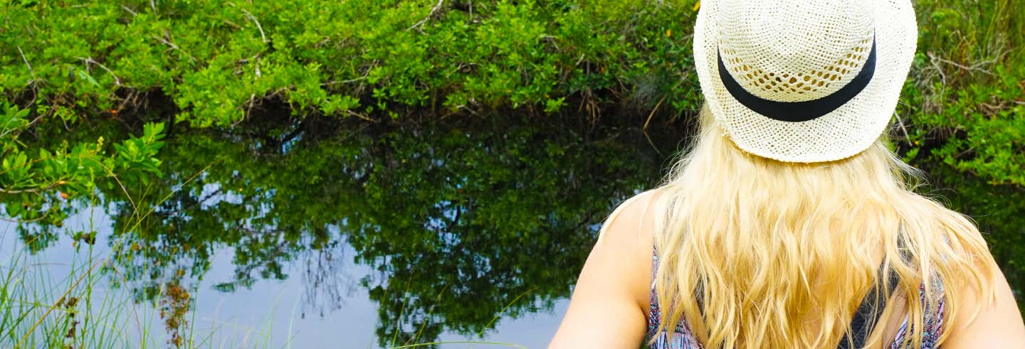 Excursión a Miami y los Everglades