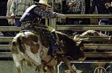 Western Ranch Rodeo & Dinner