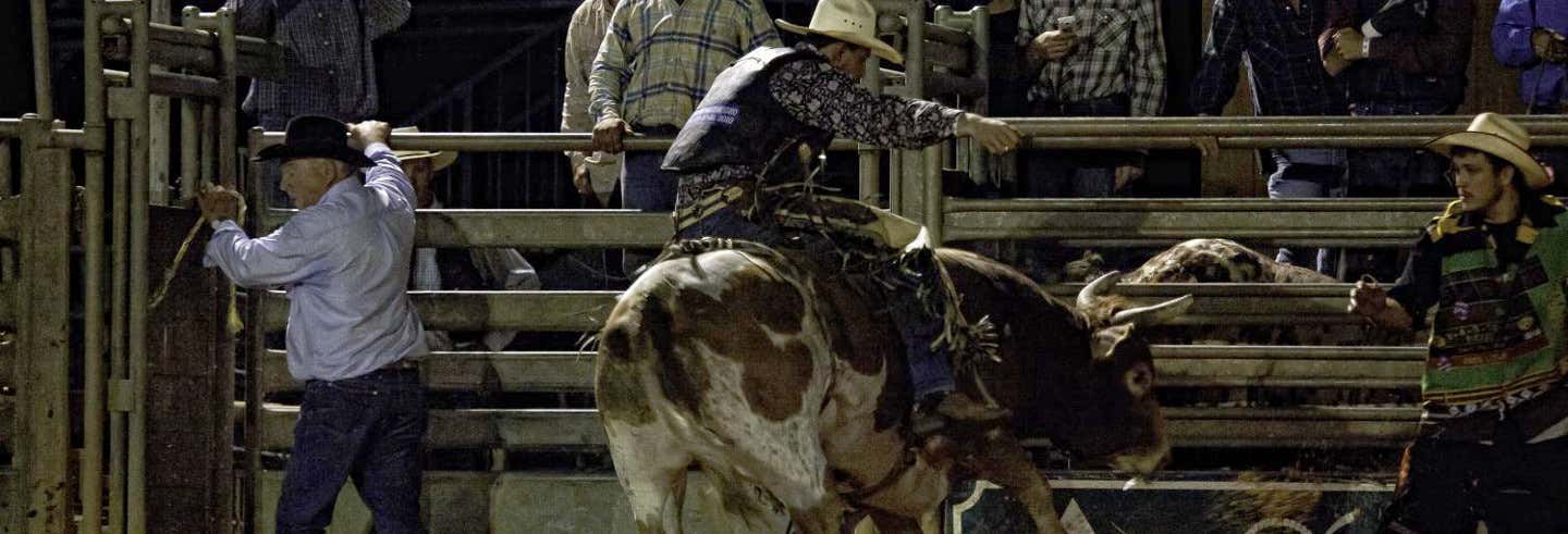 Excursión a rancho americano con rodeo y cena