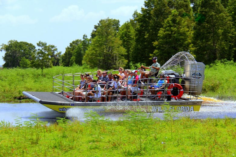 Exploring the Everglades on an airboat