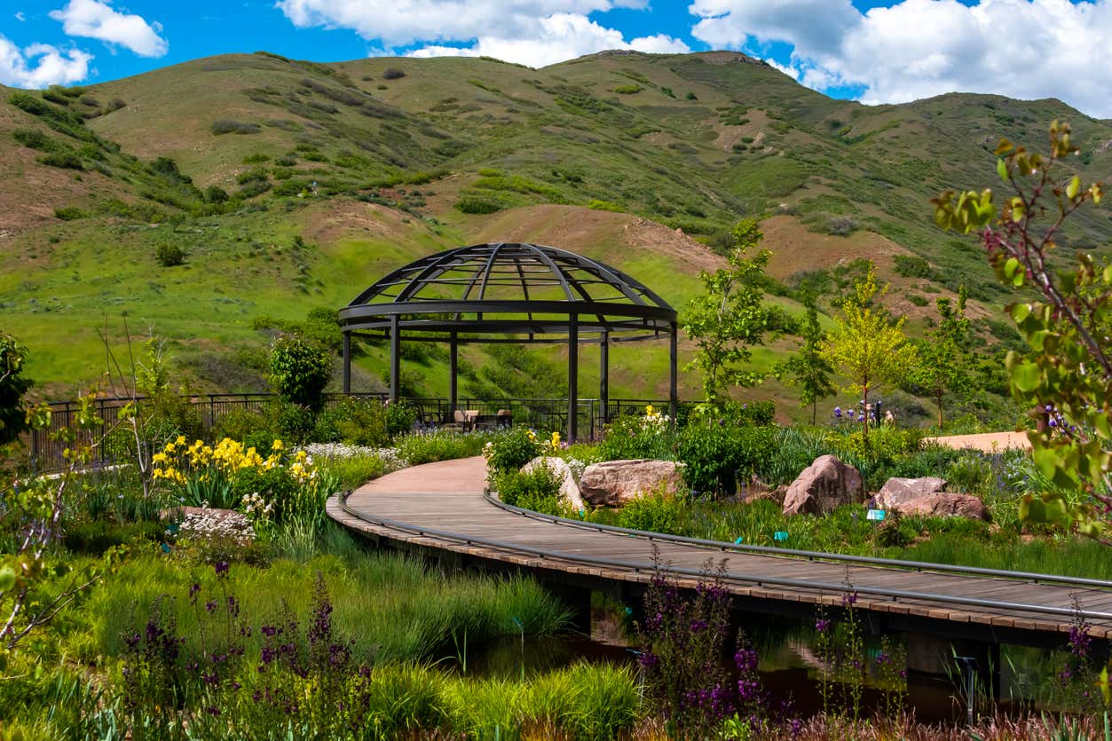 365 Day Connect Pass desde Salt Lake City