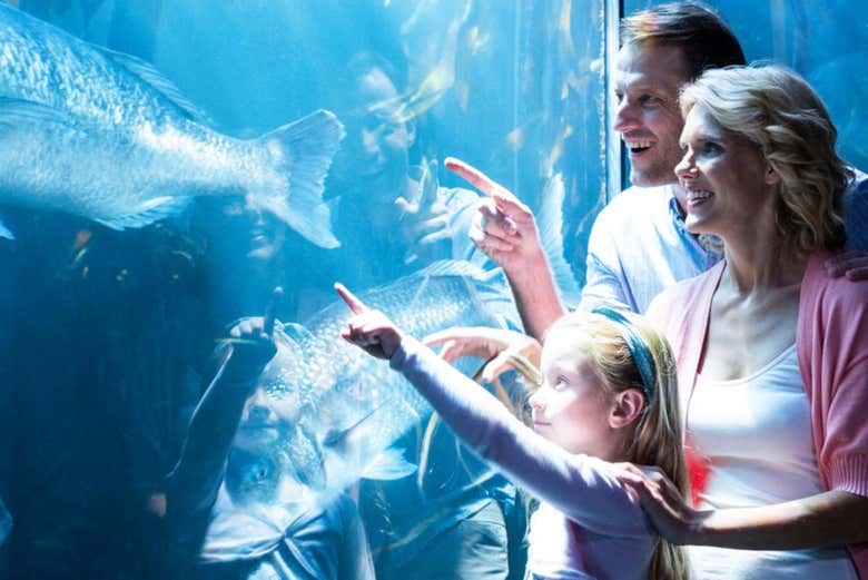 SeaWorld San Antonio Ticket - Book Online at Civitatis.com