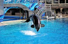 Escursione a SeaWorld San Diego