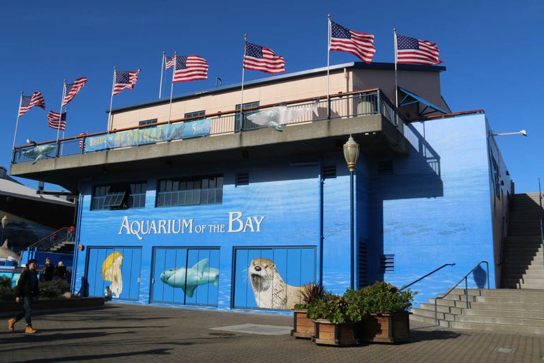 El Aquarium of the Bay se ubica en el puerto de San Francisco