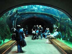 Academy of Sciences