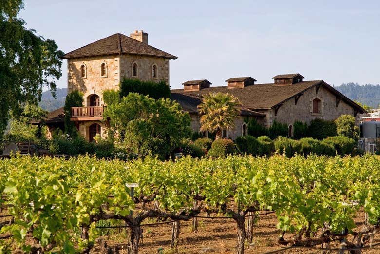 sonoma and napa valley wine tours from san francisco