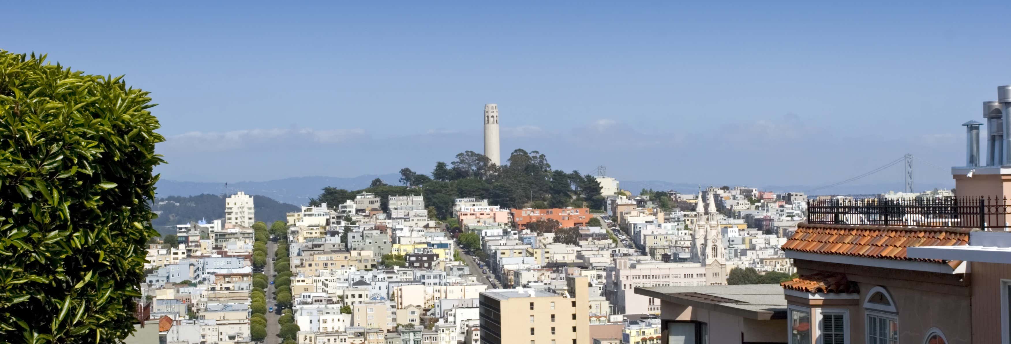 Visite des points de vue et des collines de San Francisco