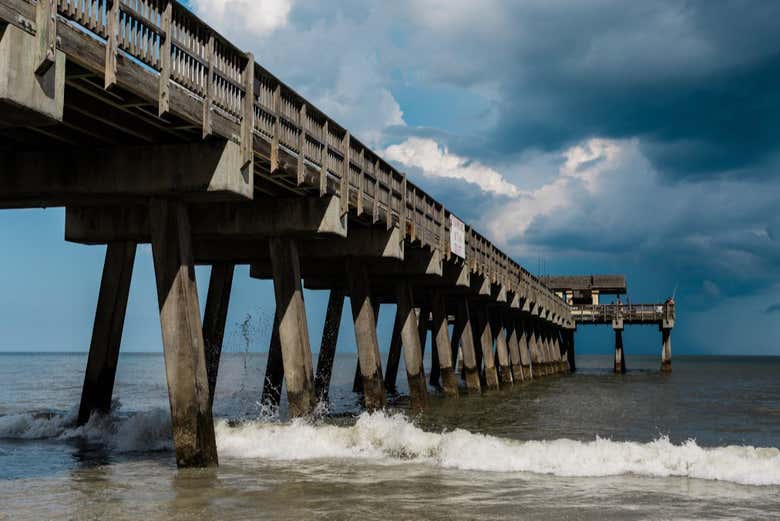 Tybee Island Day Trip & Dolphin Watching from Savannah