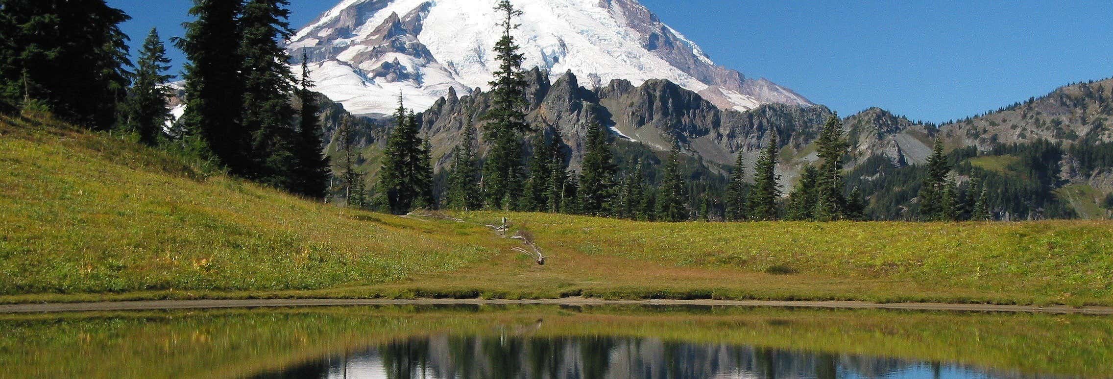 Excursión al Parque Nacional del Monte Rainier