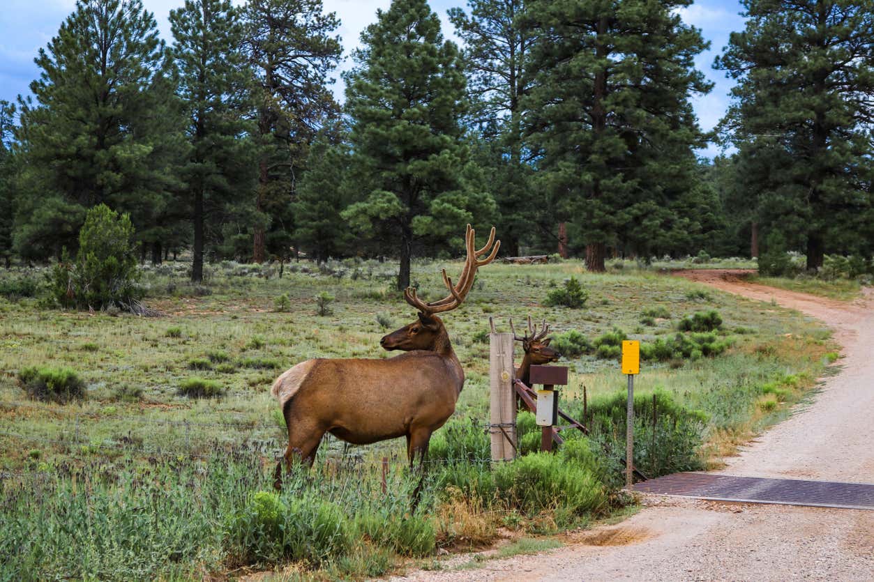 Safari por Sedona