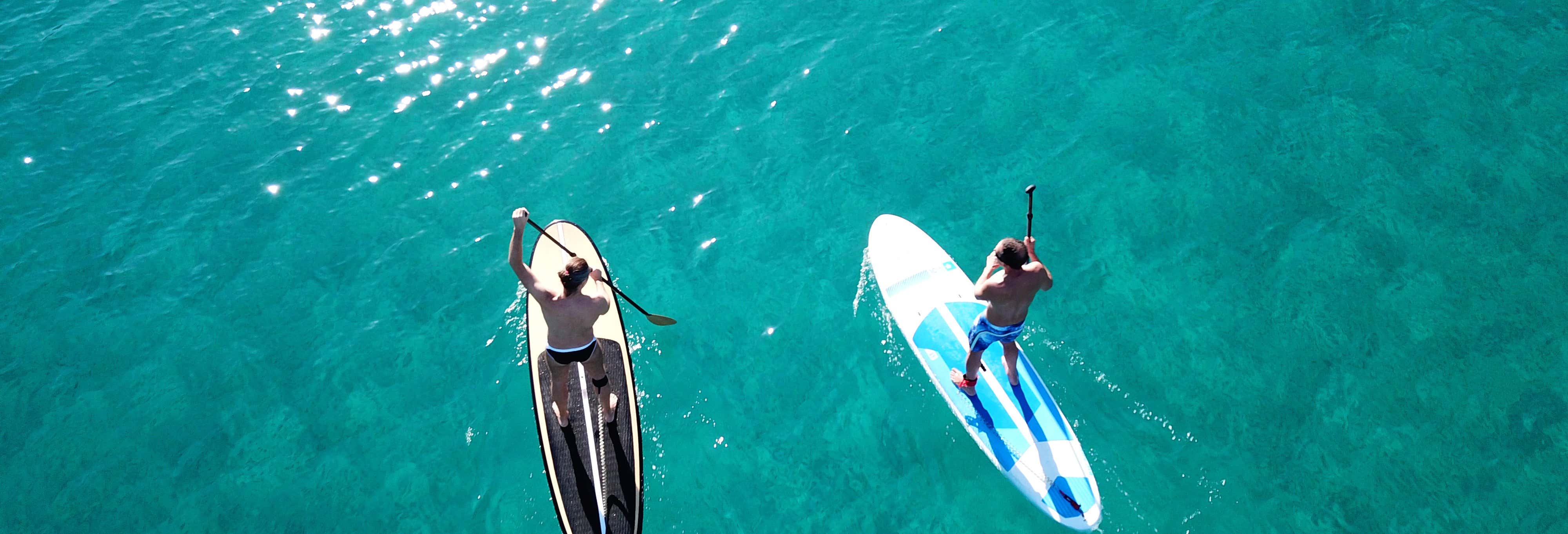 Tour en kayak o paddle surf por Tavernier