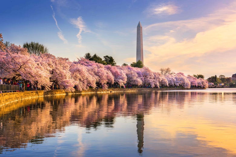 Monumento a Washington visto da água