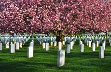 Tour por el Cementerio de Arlington y memoriales de Washington