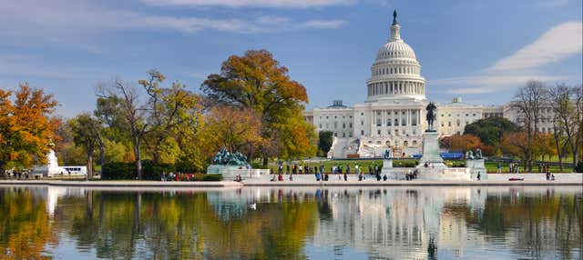 Tour privado por Washington con guía en español