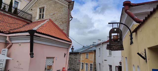 Tour privado por Tallinn com guia em português