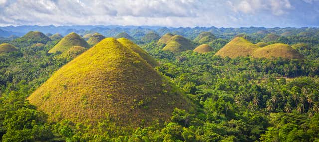 Bohol Guided Tour