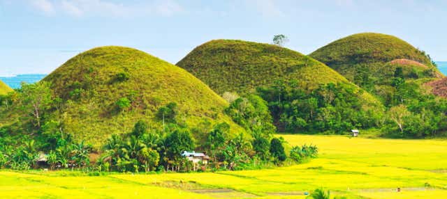 Excursión a Bohol