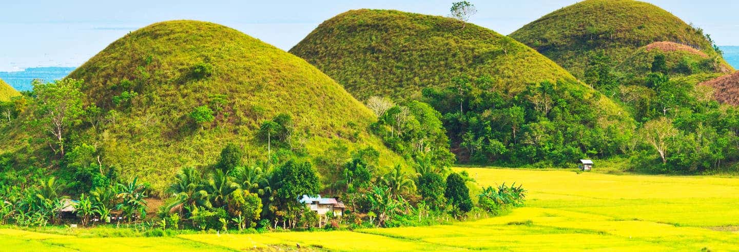 Excursión a Bohol