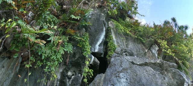 Tour in barca delle grotte di El Nido