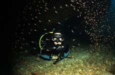 Buceo nocturno en Malapascua