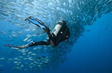 Buceo en Moalboal