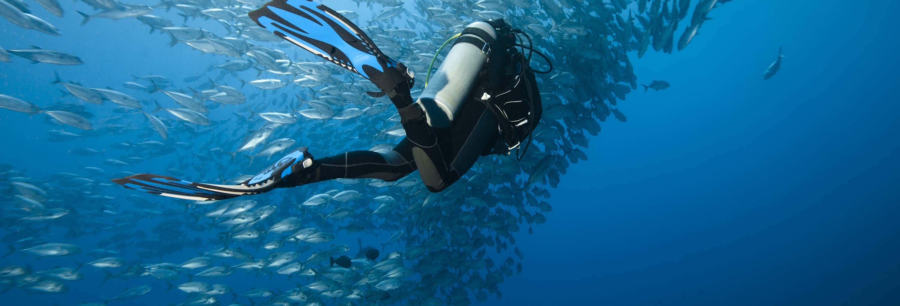 Buceo en Moalboal