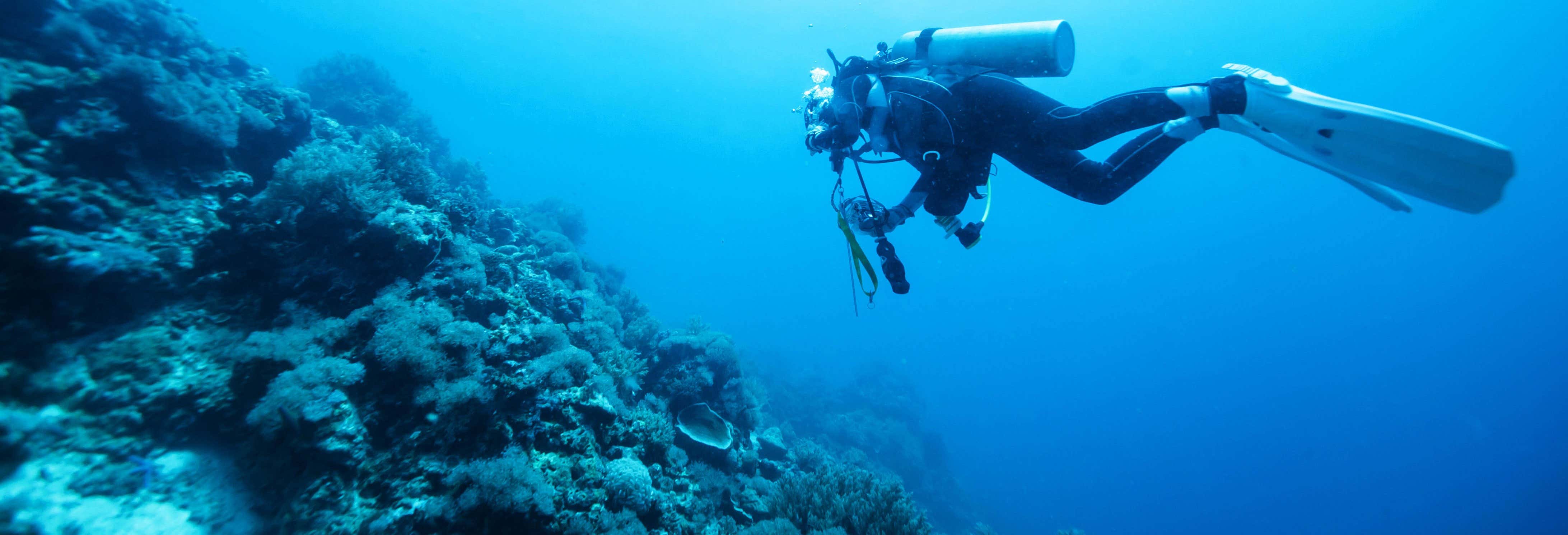 Curso de buceo PADI Open Water