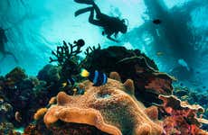 Buceo en Santander