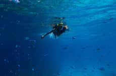 Snorkelling in Santander