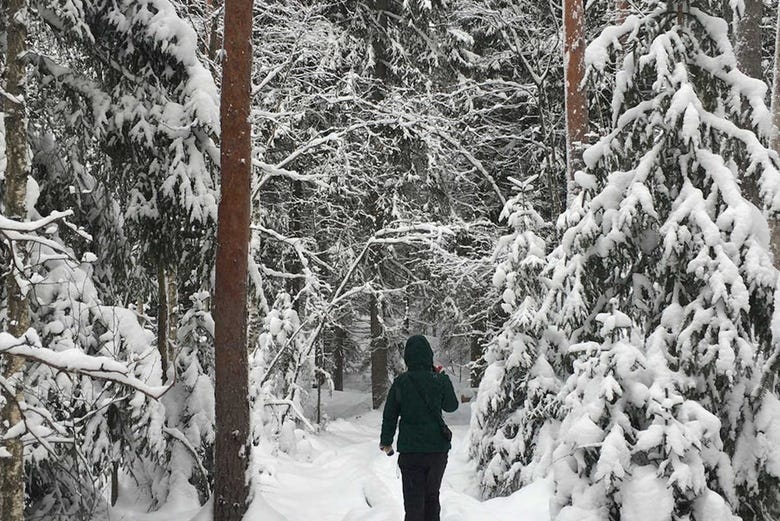 Neve sul Parco nazionale di Liesjärvi