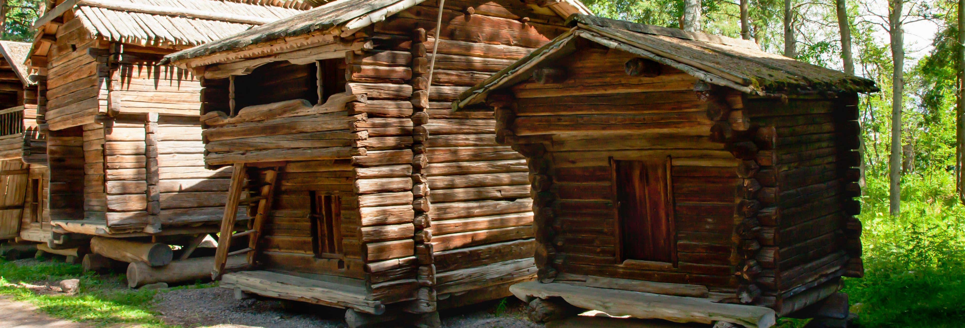 Tour por Helsinki + Museo al aire libre de Seurasaari
