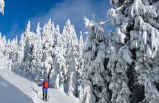 Jyväskylä Snowshoe Tour