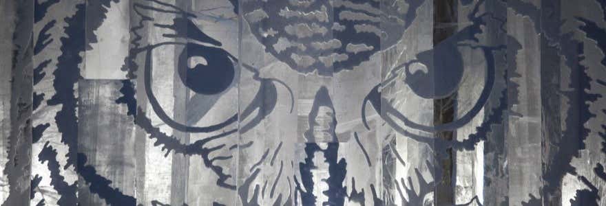 Escursione a SnowVillage