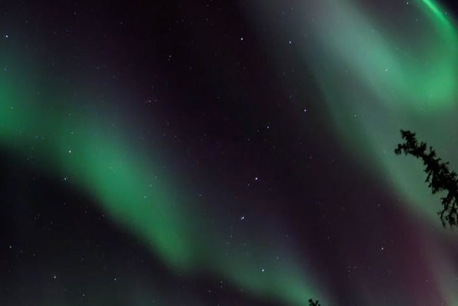 Marveling at the aurora borealis