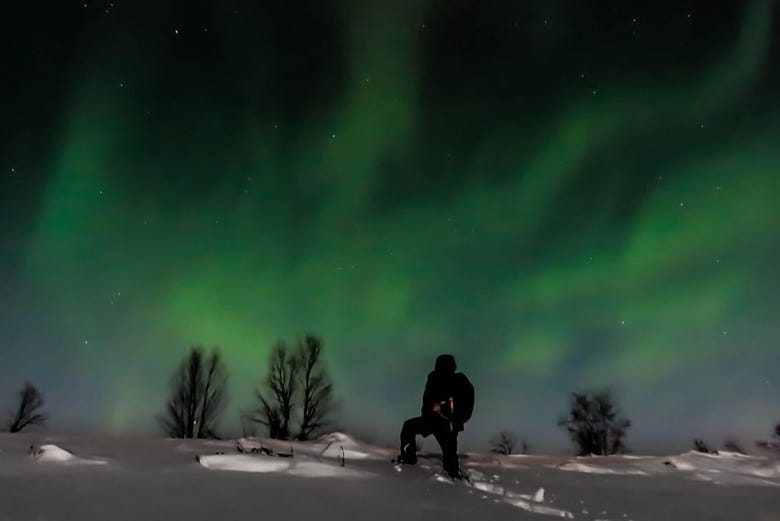 In search of the aurora borealis