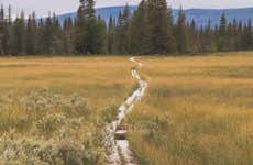 Trekking a Pallas-Yllästunturi