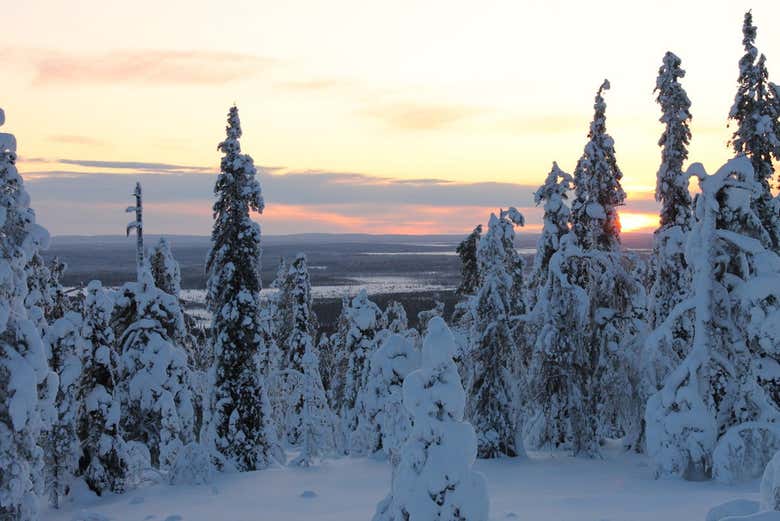 Levi Snowshoe Tour - Book Online at Civitatis.com