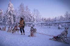 Balade en traineau avec des huskys